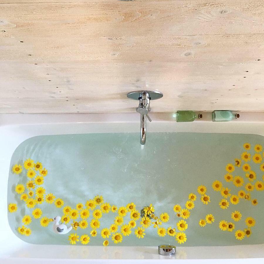 Il Lupo Rosso Bed & Breakfast Santu Lussurgiu Dış mekan fotoğraf
